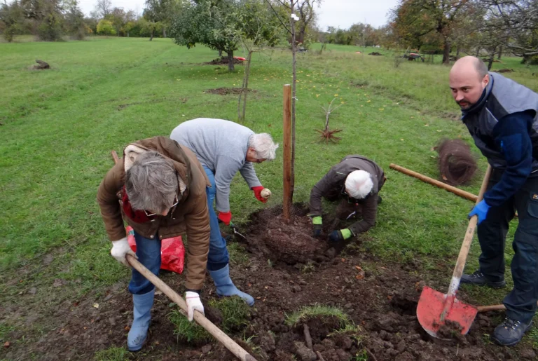 Baulpflanzaktion Teamwork