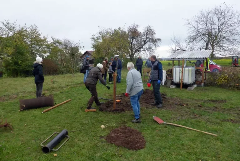 Teamwork beim Bäume pflanzen